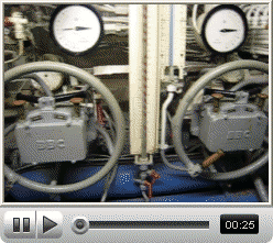 Click to Watch Sample Video Clip (2.1MB)