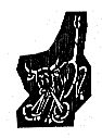 U-442 emblem