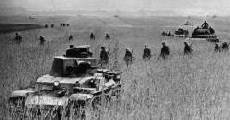 Panzers in France