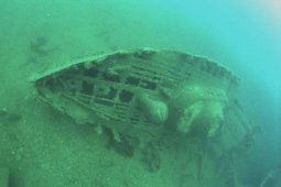 Royal Oak wreck