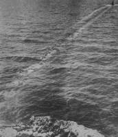 Torpedo wake